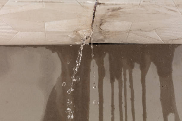 Professional Water Damage Inspection technician working in New Hudson, MI